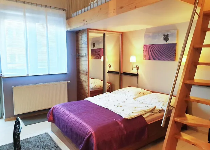 Brzozowa - Centrum *