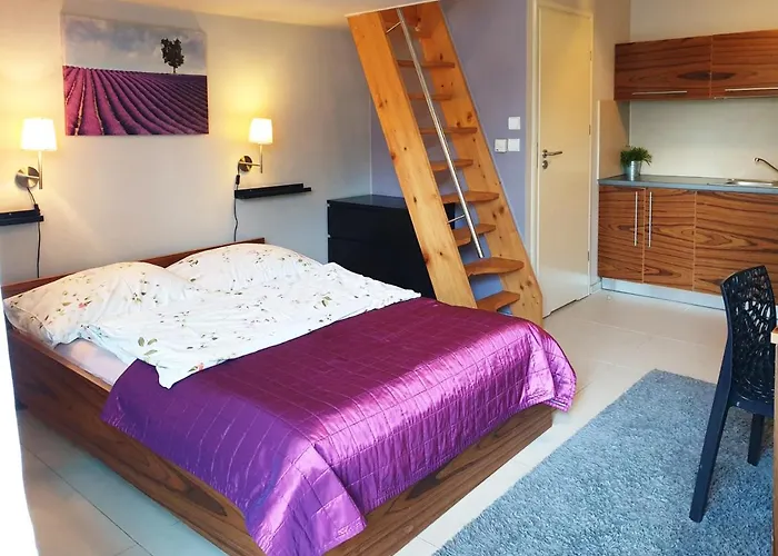 شقة Brzozowa - Centrum