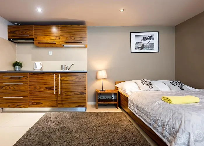 شقة Brzozowa - Centrum زاكوباني