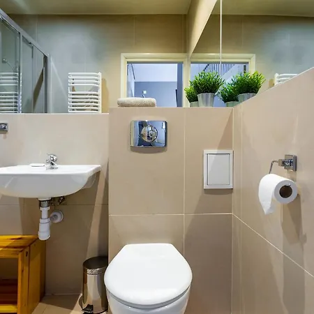 Brzozowa - Centrum *