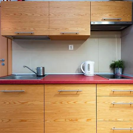 Brzozowa - Centrum 아파트 자코파네